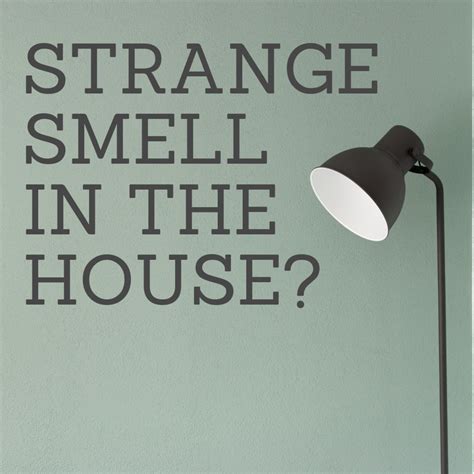 weird smells in the house